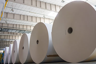 giant rolls of paper