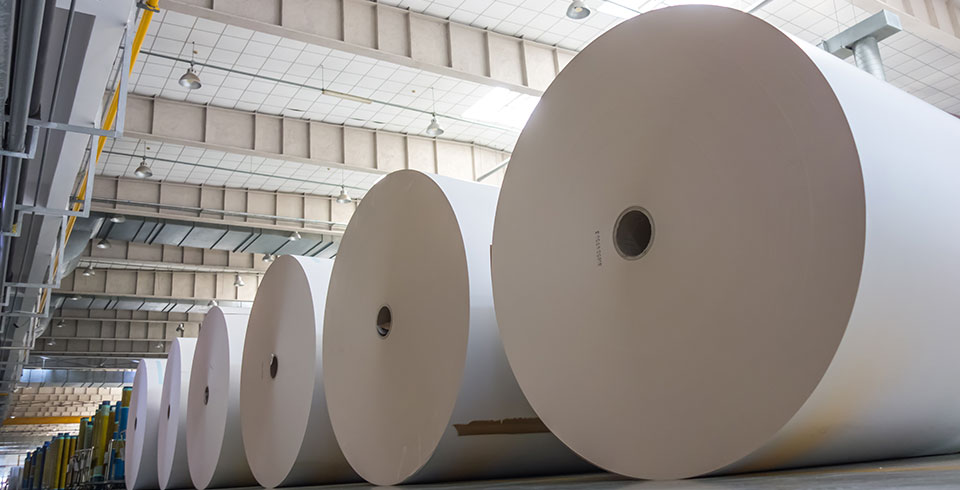 giant rolls of paper